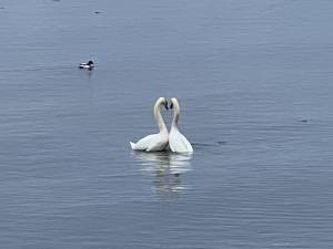 IMG_3325_original_copy_1_copy_2